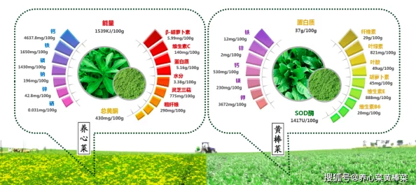“特黄特色一清二楚”：用户评价揭示活动背后的独特魅力与鲜明风格，深度体验值得期待