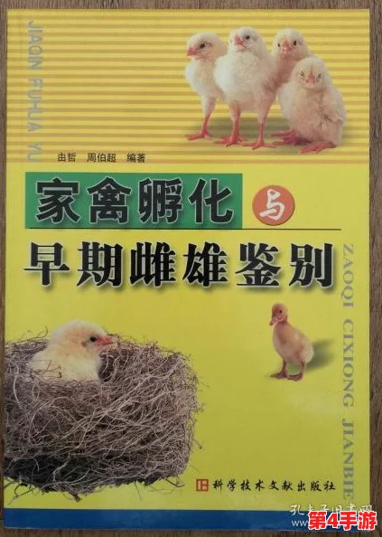 欧美人禽：对文化差异与伦理观念的深刻反思与探讨