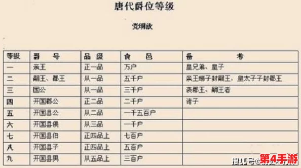 欧洲多尺码3538：品质保证，款式丰富，物超所值！
