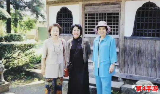 哈尔滨老阿姨最后的巅峰：一位传奇女性的奋斗与梦想之旅