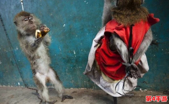 地铁奇遇：揭秘猴子逃生时身着的神秘服装，引发公众好奇热潮