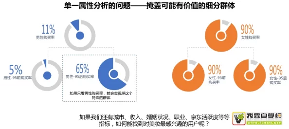 十种b型的外形特征：深入分析用户评价，揭示独特魅力与视觉影响力的完美结合