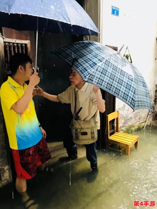 老人船上弄雨婷第12集：感人故事与温暖瞬间，传递爱的力量与人生智慧