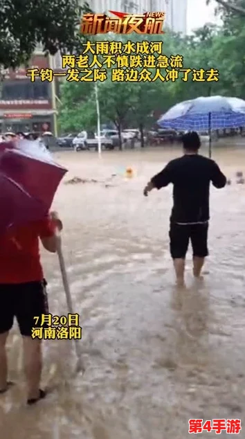 老人船上弄雨婷第12集：感人故事与温暖瞬间，传递爱的力量与人生智慧