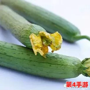 好色先生丝瓜：一场视觉与味觉的双重盛宴，令人欲罢不能的美食体验