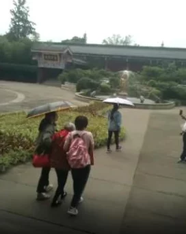 拳皇97角色深度对比：哪位猴子型选手在格斗舞台上更为强势？