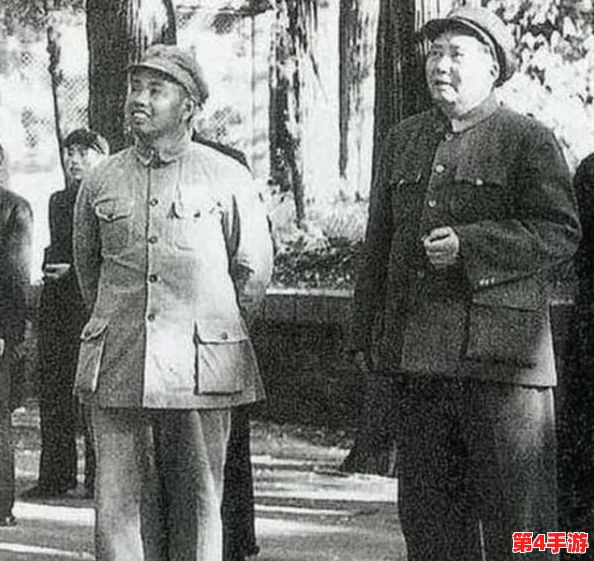 独家汇总：无畏三国全系列真实有效兑换码，限时领取激活好礼！