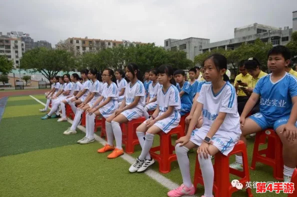 足球经理2023全面配置指南：揭秘最低与推荐硬件需求，畅享绿茵场管理之旅