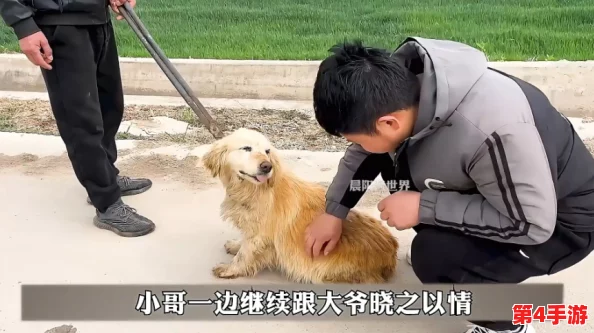 张警犬9分10秒头撞玻璃夸克，＂汪＂声一响惊天动地，网友直呼太拼命