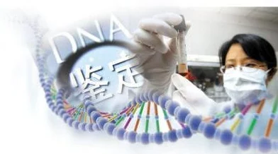 爹我是你亲生闺女啊，感人至深的家庭故事让人泪目，揭示了血缘与情感的复杂关系