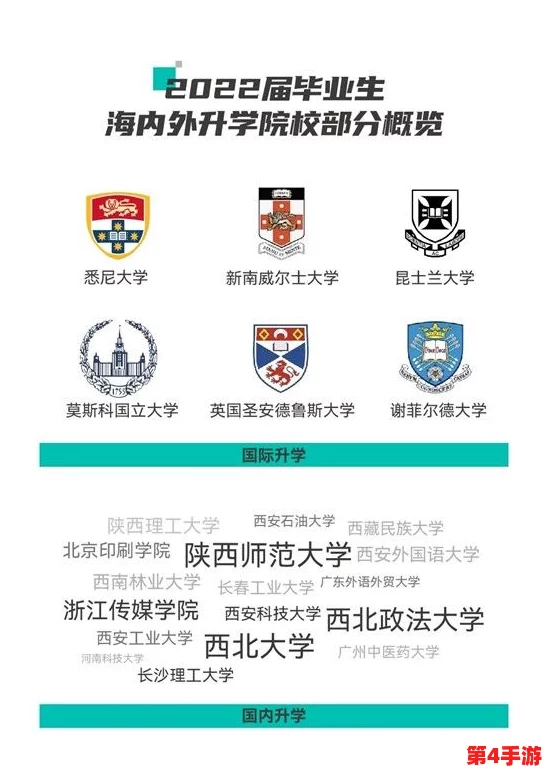 三叶草欧亚码B1B1：品质卓越，性价比超高，物有所值的好选择