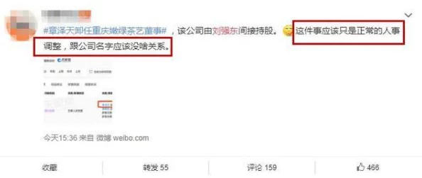 吃瓜中心：引人入胜的八卦新闻，让你欲罢不能