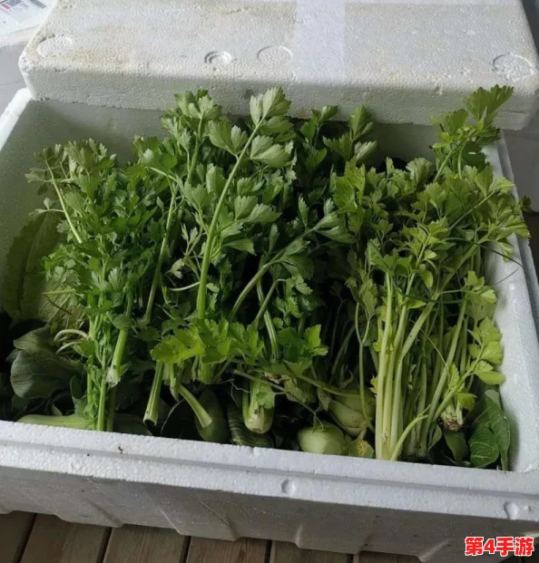 公司老板要求员工在疫情期间真空上班,员工纷纷表示担忧 公司老板要求员工在疫情期间真空上班,员工纷纷表示担忧