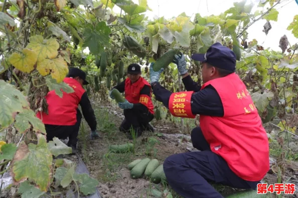 一小孩和妈妈在田野里快乐地摘萝卜(黄)，幸福的画面让人感到温馨愉悦