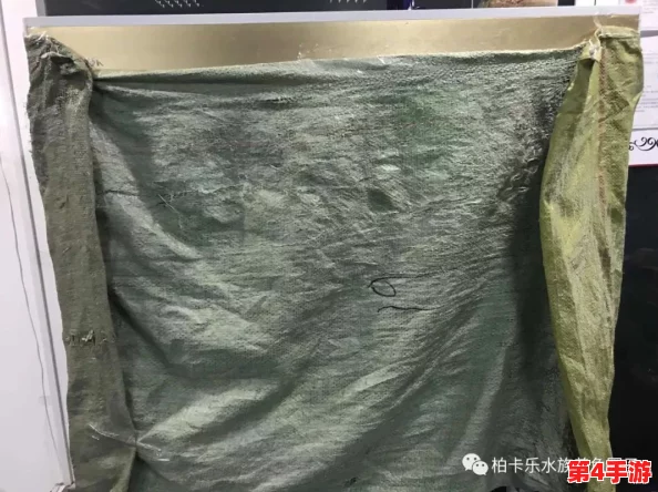动态图啪啪啪：趣味与创意交织的视觉盛宴，带你领略不一样的动态艺术魅力