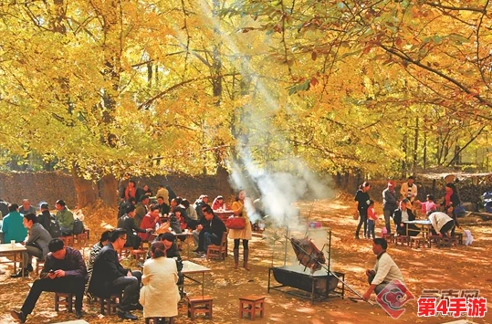 吃 网cgw01-热门词：美食、旅游、健康、生活方式