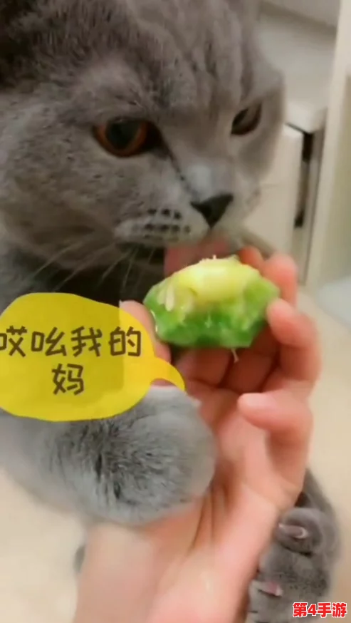 “51吃瓜今日吃瓜必吃胖猫吃瓜中心,网友热赞这里的美味与氛围,绝对不容错过!” “51吃瓜今日吃瓜必吃胖猫吃瓜中心,网友热赞这里的美味与氛围,绝对不容错过!”