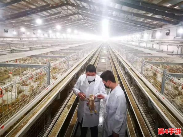 人畜禽CORPORATION在线咨询，网友称赞服务专业解答迅速让养殖更轻松