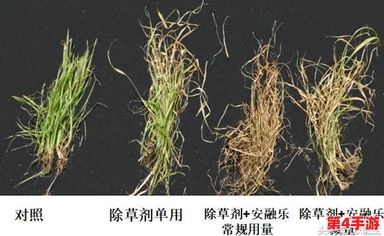 坐在教授的大根茎上背单词:绝佳的学习方法,事半功倍 坐在教授的大根茎上背单词:绝佳的学习方法,事半功倍