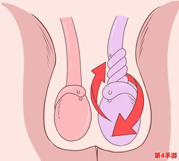 女孩看到男孩子的睾丸怎么办?如何处理这种尴尬情况才能避免尴尬? 女孩看到男孩子的睾丸怎么办?如何处理这种尴尬情况才能避免尴尬?