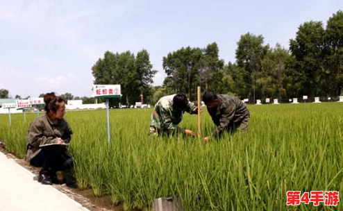 《模拟农场25》全球首发日期揭晓:农业经营新纪元何时降临? 《模拟农场25》全球首发日期揭晓:农业经营新纪元何时降临?