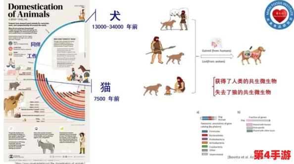 人狗畜禽company limited：探索与理解人类与动物之间的关系