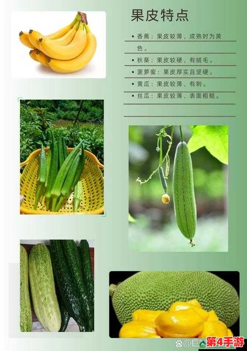 秋葵茄子丝瓜香瓜榴莲大全:网友称赞秋葵清新可口,丝瓜鲜嫩,不同水果香甜独特,赞不绝口! 秋葵茄子丝瓜香瓜榴莲大全:网友称赞秋葵清新可口,丝瓜鲜嫩,不同水果香甜独特,赞不绝口!