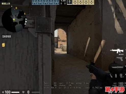 csgo暴躁少女：在游戏中寻找自我，挑战极限与友情的碰撞之旅