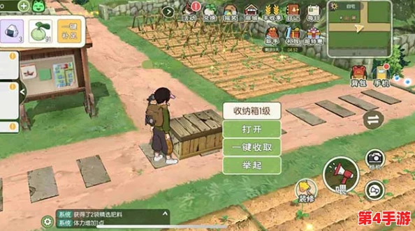 小森生活必备：精心规划储物箱摆放位置，高效收纳攻略大公开