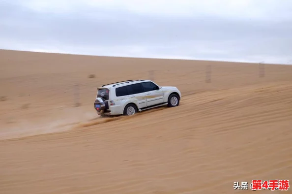 欧美无人区码suv：用户评价让你更了解这款车的越野性能与舒适度