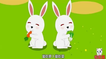 音乐老师的小兔子好可爱又弹，让人感受到音乐的魅力和温暖