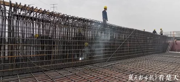 钢钢钢钢钢 钠筋多水免费 见解