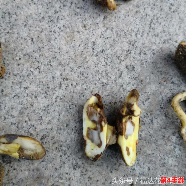 爽 好多水 快 深点软件：如何选择适合自己的深度学习软件？