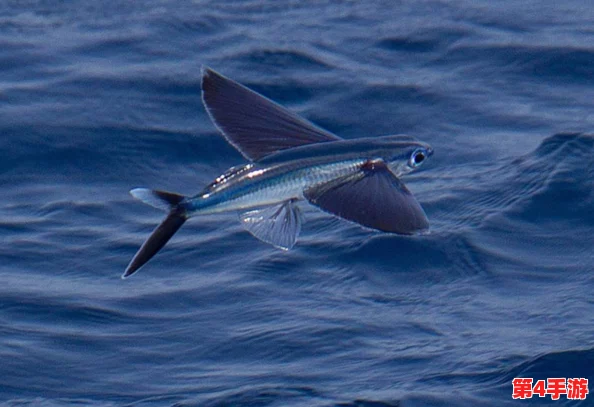 被捡来的人鱼干翻了怎么办林遇：当奇幻遇见现实，该如何应对？