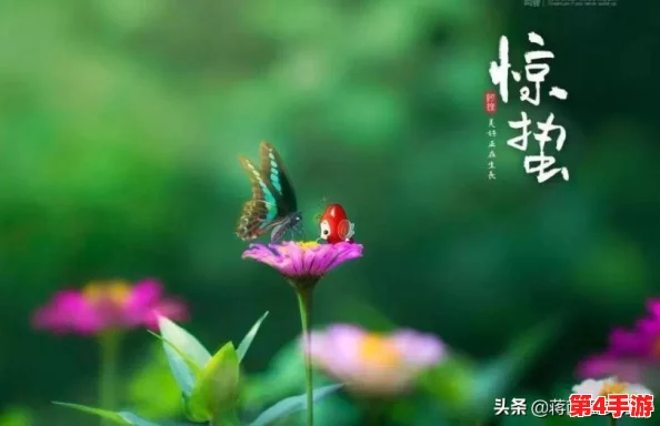 解锁游戏挑战新境界:第54关攻略全解析,助你轻松跨越难关壁垒! 解锁游戏挑战新境界:第54关攻略全解析,助你轻松跨越难关壁垒!