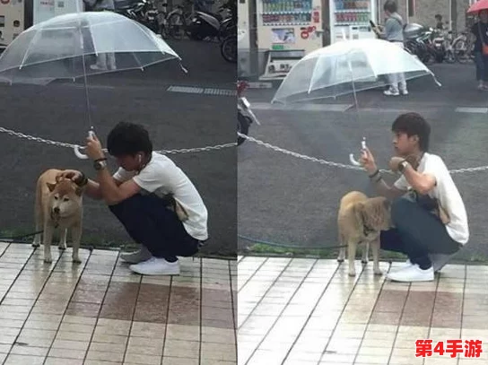 一男孩喂女孩吃钢筋，竟引发网友热议，背后隐藏的真相让人震惊！