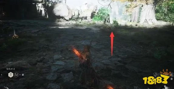 探索黑神话悟空世界：揭秘猴头菌种子的独特获取途径与策略指南