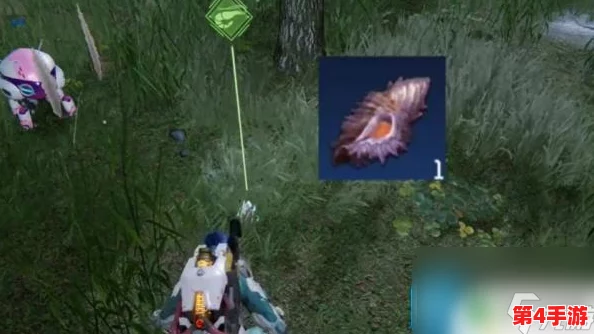 探索星球重启:揭秘隐秘海域香螺踪迹,解锁独家美味食谱秘籍 探索星球重启:揭秘隐秘海域香螺踪迹,解锁独家美味食谱秘籍