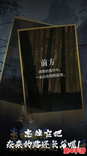 诡居小镇新版探险指南：第二章迷雾重重，详尽通关策略助你步步为营
