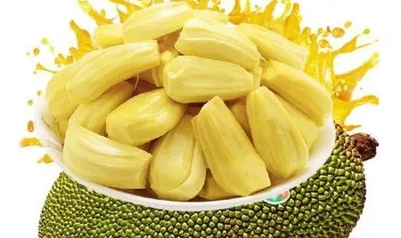 用户评价:菠萝蜜视频在线观看带来了全新的视听体验,内容丰富,深受大家喜爱! 用户评价:菠萝蜜视频在线观看带来了全新的视听体验,内容丰富,深受大家喜爱!