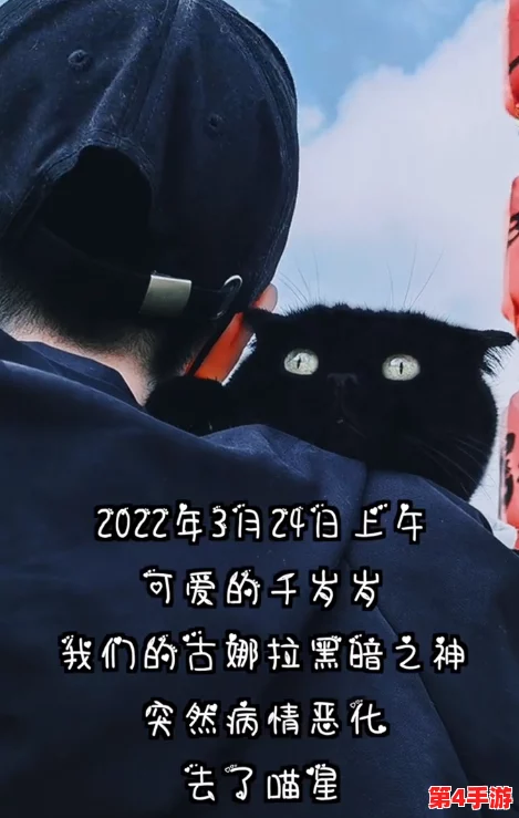 麻花豆传猫爪影像的背后故事:如何在网络世界引发热潮的秘密 麻花豆传猫爪影像的背后故事:如何在网络世界引发热潮的秘密