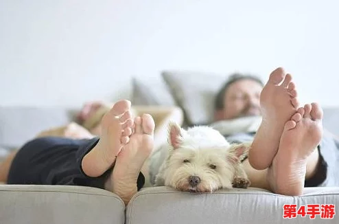 铜铜铜铜铜好深板有病毒吗?对这一问题的深入分析与探讨,旨在揭示潜在风险及其影响 铜铜铜铜铜好深板有病毒吗?对这一问题的深入分析与探讨,旨在揭示潜在风险及其影响