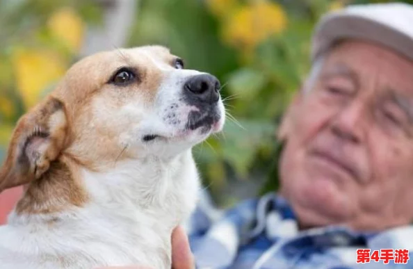 人狗胶配方大全高清1080p:许多用户称赞其效果显著,值得一试,使用体验良好! 人狗胶配方大全高清1080p:许多用户称赞其效果显著,值得一试,使用体验良好!