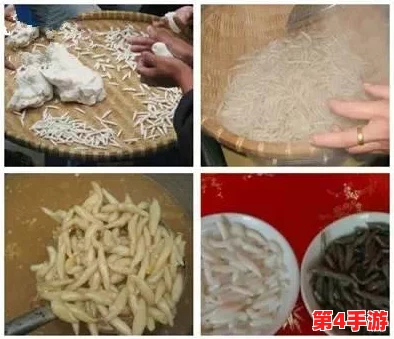 独家揭秘：黑暗料理王'须吸不已'皇冠级食谱全图鉴，解锁顶级美食配方攻略大全