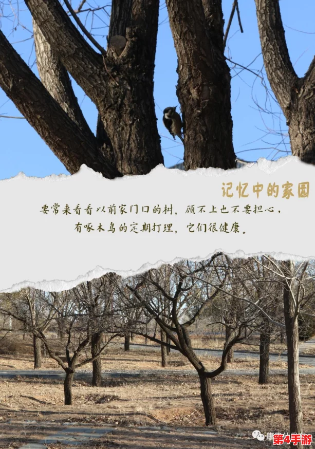穿越火线手游家园秘境:探寻未知生物命名之谜,解锁专属称号与奖励全攻略 穿越火线手游家园秘境:探寻未知生物命名之谜,解锁专属称号与奖励全攻略