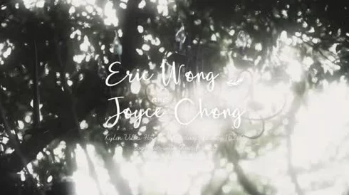 八尺夫人意大利 满天星:深入理解这幅作品背后的文化与情感表达 八尺夫人意大利 满天星:深入理解这幅作品背后的文化与情感表达