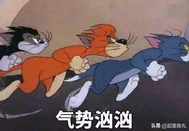 猫和老鼠手游:高效应对守尸战术,策略逃脱与反击技巧全攻略 猫和老鼠手游:高效应对守尸战术,策略逃脱与反击技巧全攻略