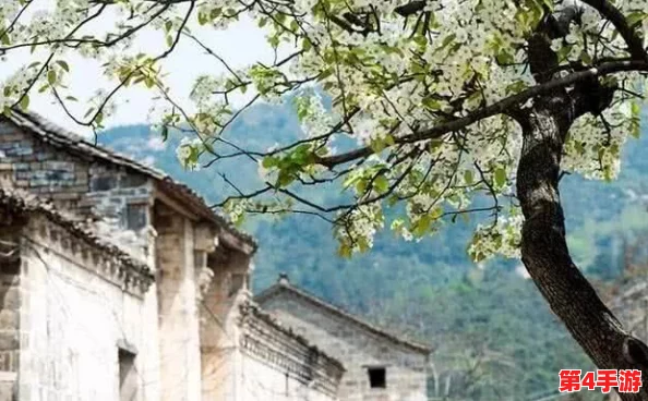 甘雨白水流淌了一地,那是神秘古村落的文化传承与自然奇观交汇的景象 甘雨白水流淌了一地,那是神秘古村落的文化传承与自然奇观交汇的景象