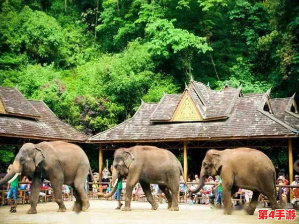 探秘心动小镇:欧洲鲶鱼的栖息地全指南与独特魅力展现 探秘心动小镇:欧洲鲶鱼的栖息地全指南与独特魅力展现