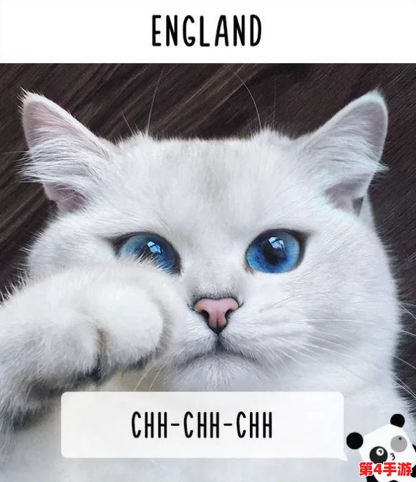 揭秘猫咪www最新地域网名怎么取的神秘艺术和创意灵感之源
